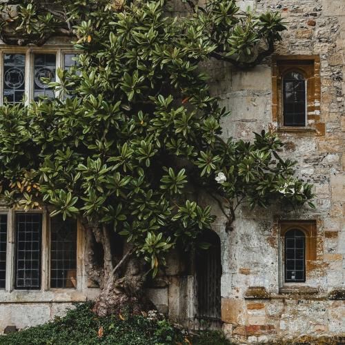  صفا خوبه با اهل خونه باشه با صدای مرد اینستایی