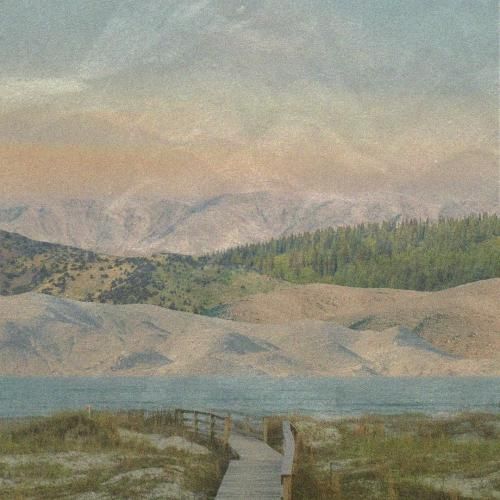 امشب ای دوست به کاشانه ی ما آمدی