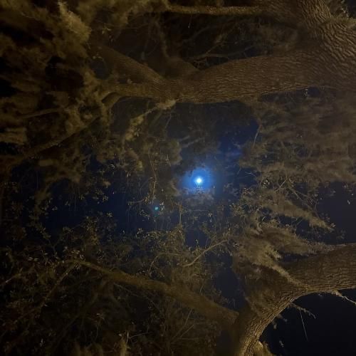 دست دست بزنین تریاک بس بس بزنین