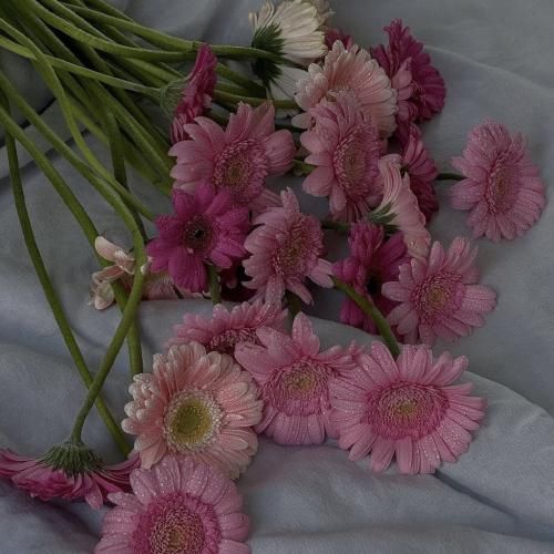 بیا که بریم کوه به کوه خانه شیرین گل کوکو