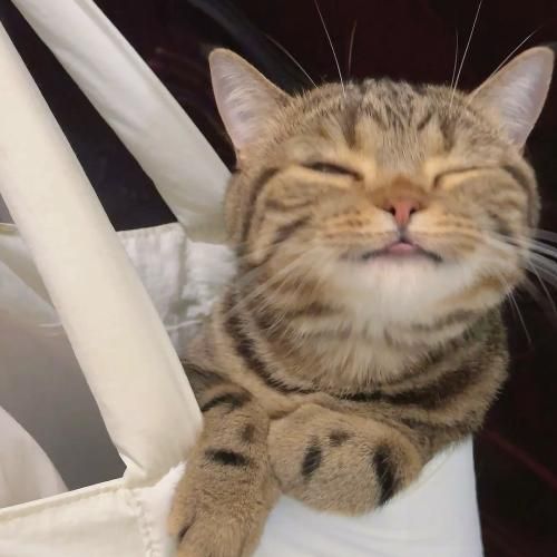 آخ تو که یه روز عشق منیو یه روز عشق یکی با صدای دختر