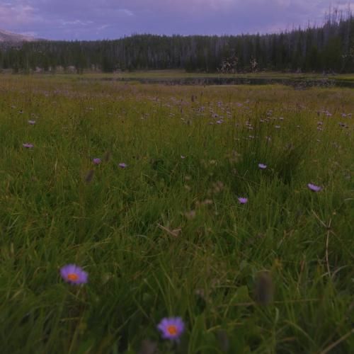 تیغ و تیزی رگ و شاهرگ خون بازی با بدنم با صدای دختر