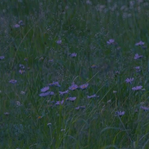 من از اون آسمون آبی میخوام با صدای پسر اینستایی