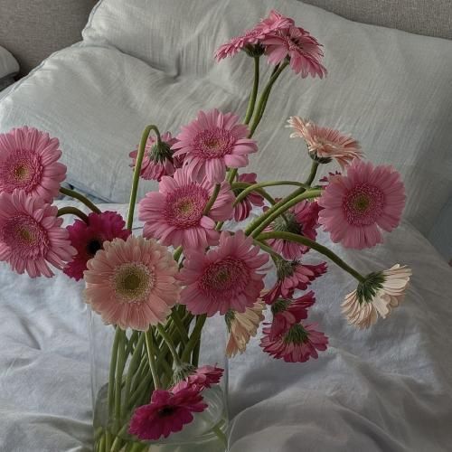 روی بومه خونه یه جغد پیره که اونم مثه من