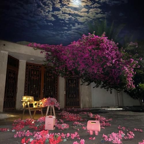 هنو هر جا که میری بهونمو میگیری نمیتونی اینو