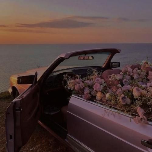 یکم او یکم گوشت نخوده میریزید سر گوشت