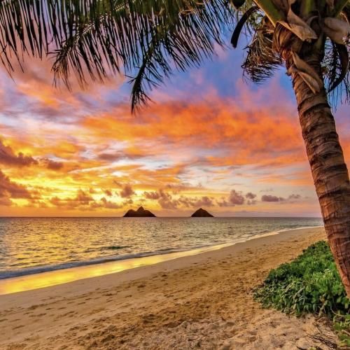 به زور میخوان زنم بدن من زن نمیخوام - ورژن اینستایی