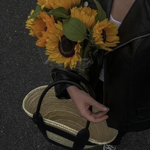 صبحونه ناهار عصرونه جارو برقی طی کار خونه - ترند