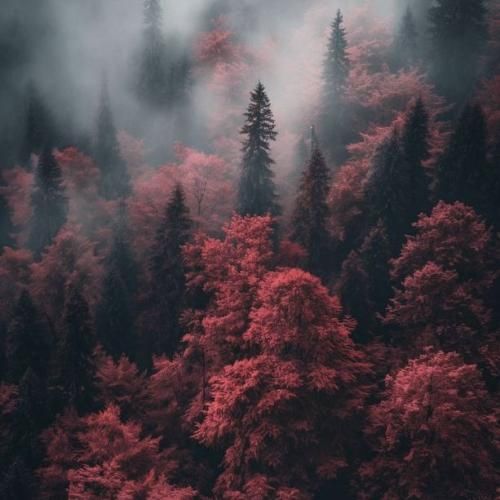 یه شب مست میکنم بهت زنگ میزنم با صدای پسر