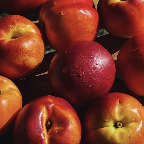 رفته بود هرچی که داشتیم دیگه از خاطر من صدای زن