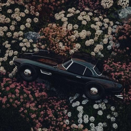 سلام سلام - ترند اینستاگرام