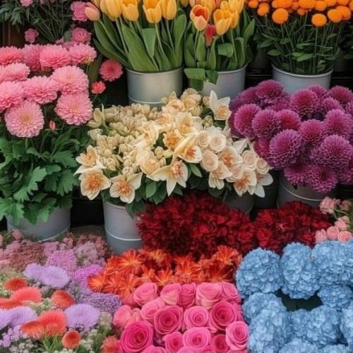 تو نت گوشیم نوشتم تو بودی قاتلم