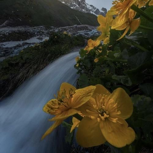 جون دلم تویی جون دلم نرو هوش مصنوعی