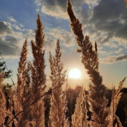 این روزا دونه دونه اشک چشام میچکن با صدای دختر