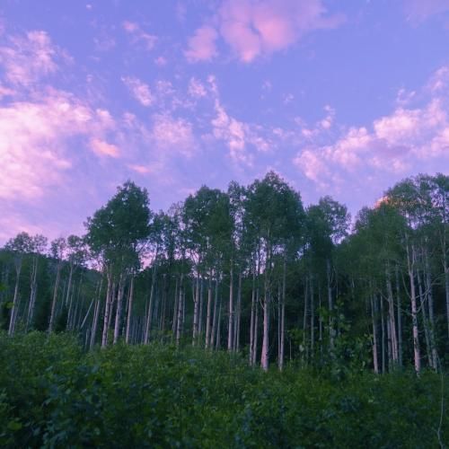 کاری نداره برام کاری نداره برام برم کاری نداره