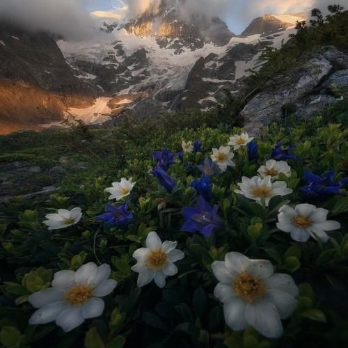 پرپر کردم گل باغ غرورم را با صدای پسر اینستایی