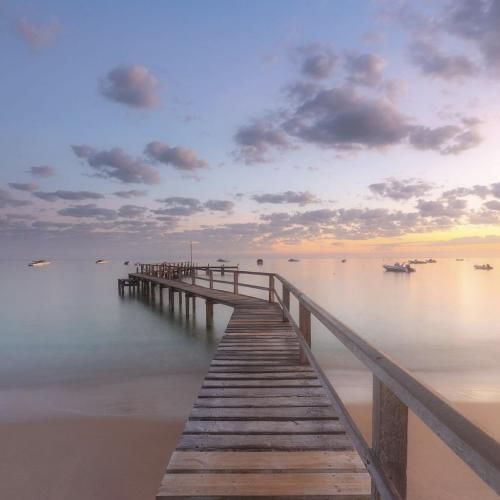 محتوا کو محتوا نیس دروغ نگو نیس دیگه هیس