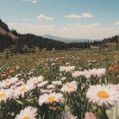 ببین من درد میکشیدم نمیدونی با صدای دختر