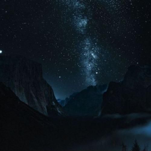 به تته پتته افتادم دام نیست حیات وحشه