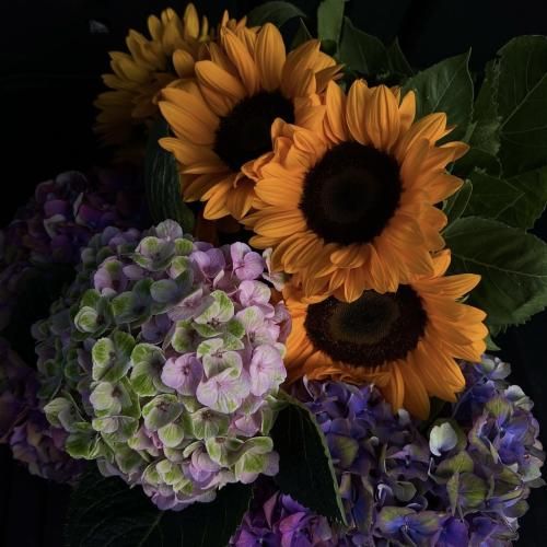 حسرتش تو خوابمه دوباره نخوابیدم افکار پریشون