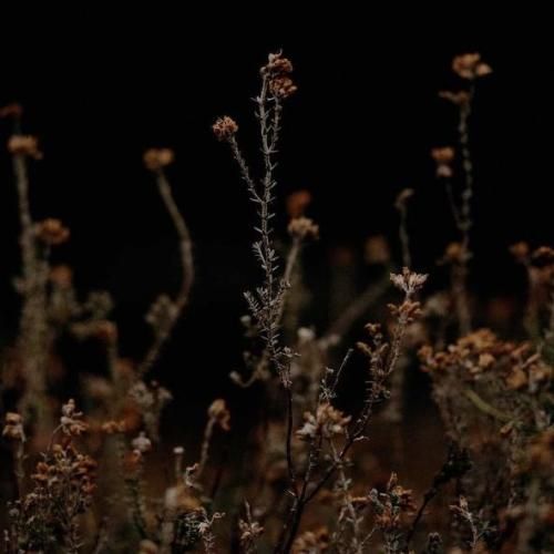 از سنگ شده چرا اون دلت نزار تنهایی