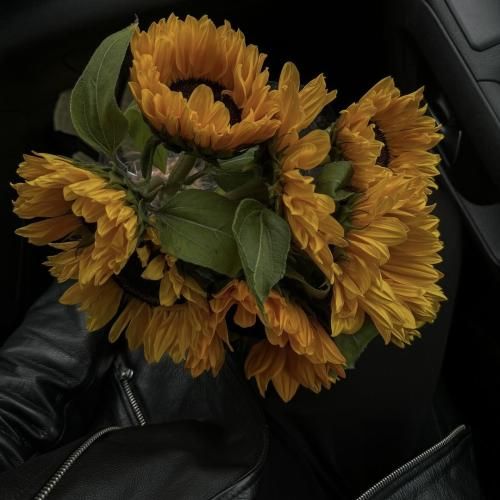 ما یه مشت سربازیم بودیم بیشتر با قابلمه