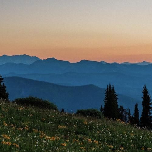 اگه من قهوه بدم بیدار بشی شاد بشی شنگول بشی