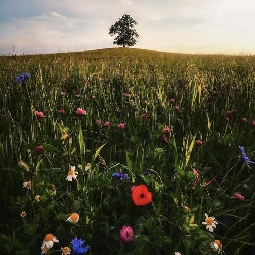 حتی اگه توی رابطه بودم با کسی باهاش میکردم