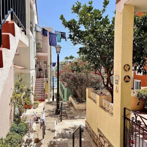 توی بهشت عجب داره جشن و سروری همشون