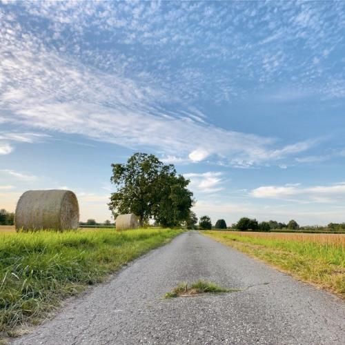 فردا یه روز اگه تنها شدیم تویه دنیای ترسناکمون اگه