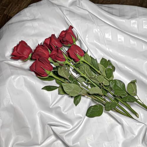 اومده داشتون ایل کید همون که موزیکاش تو نه سالگی