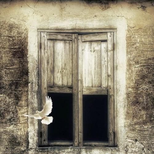 من زندگیم بیشتر از هیکلمه ولا خالشو میکوبیدم