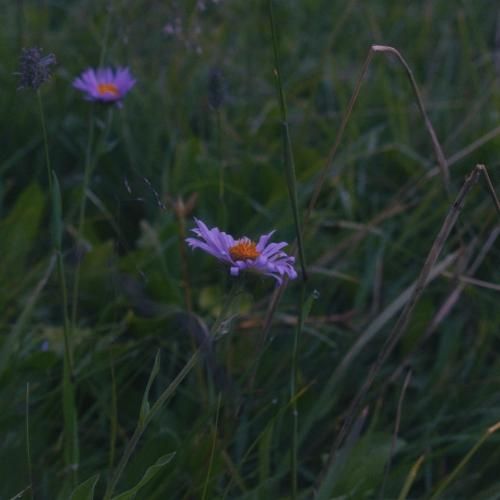 بگو تا حالا شده باشی متنفر ولی تنگ بشه