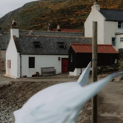 گفتم بری زندگیم بدونت بدتر میشه رفتی نگفتی