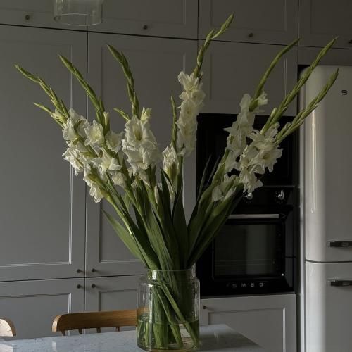 واتساپ بلاد واسابی چشما داف سبز تر از واسابی