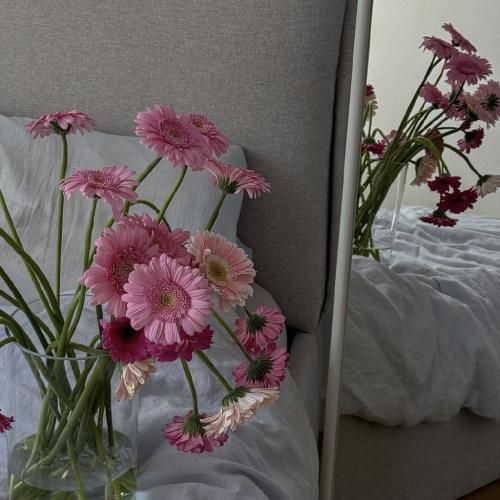 حواسم جمع سوادم کم رو به روی این پهنا کیهان