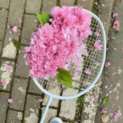 مثل تموم عالم حال منم خرابه خرابه خرابه