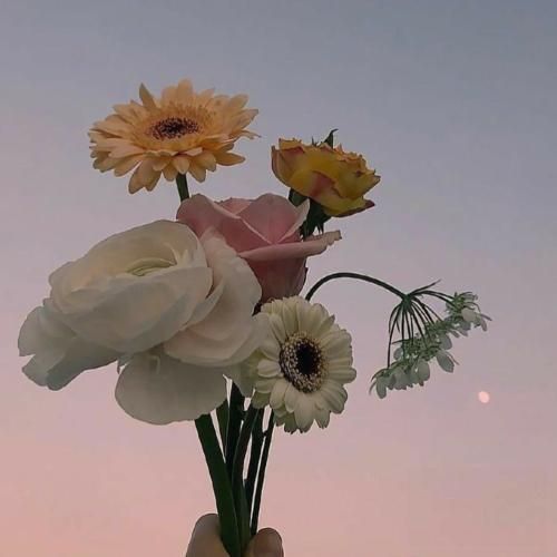 بیا تو یار من باش دل و دلدار من باش