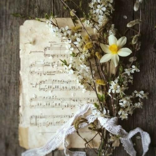 پشت پا خوردم از هر کس که میگفت یار منه