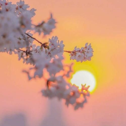 میگه وقتی با منه بهشم خوش میگذره زیاد