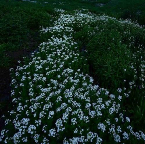 توی بحبوحه عشق دروغ گفتن و داشتی که نداشتی