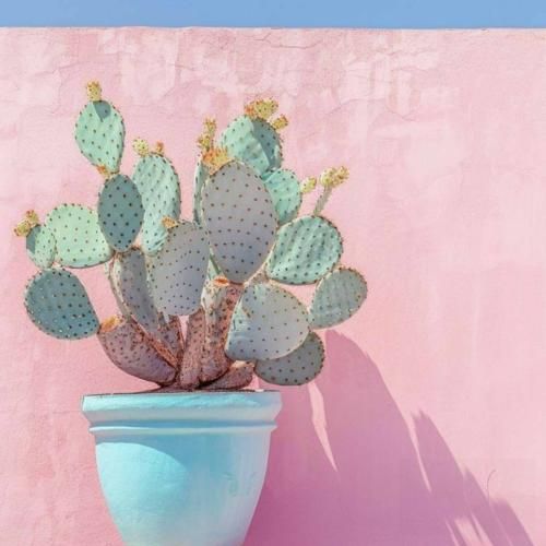 اسممو صدا کن به من بگو آره