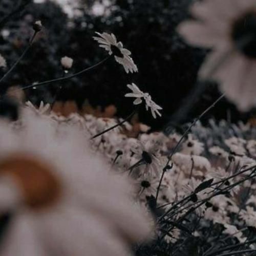 چه کنم چه کار کنم تو منو نشناختی تو ببین – هوش مصنوعی