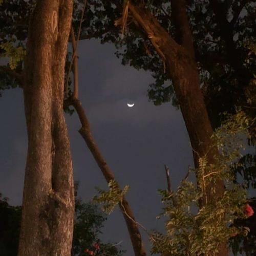 دامن من چین چینیه آبی آسمونیه – صدای بچه