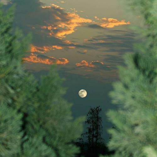 این واسم جذاب تره میگیرم امشب ازش بله