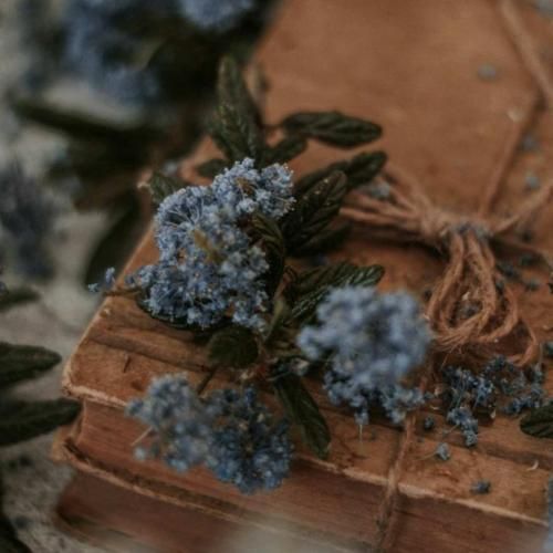 بلال بلال یکی یکی به روح قرآن تو تکی با صدای زن