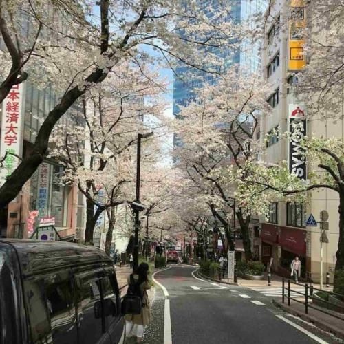 ترس داره ببینه هرکی از هرچی ترسید همون شد