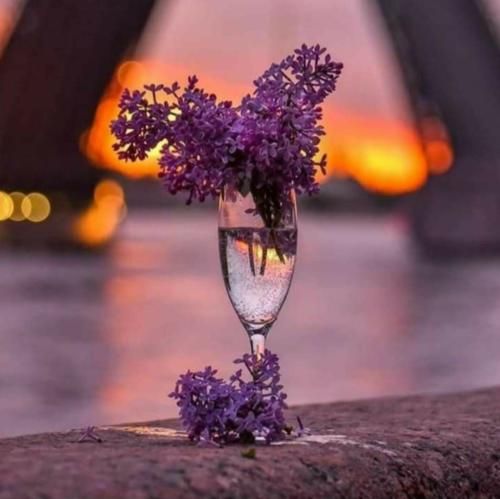 به دل میگم دیونه میمیری عاشقونه دوره عشق