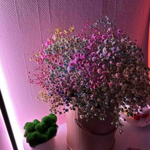 رفیقام میزنن رفیقاتو ده شیش خودم و خودت دوازه هیچ