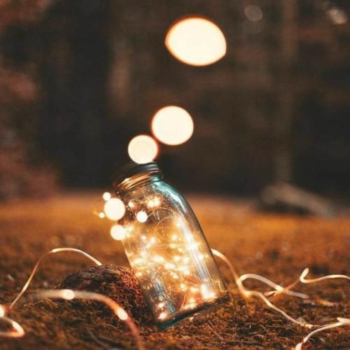 بهرزی بهرزی شهمامه و سهری تهرزی – ترند اینستا